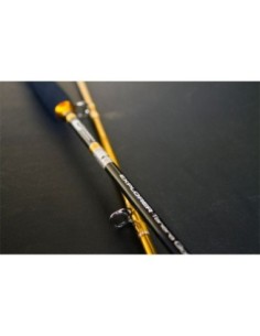 CAÑA CINNETIC EXPLORER...