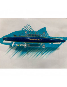 SHORE LINE SHINER SL 170 F... 2