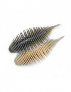 VINILO GEECRACK BELLOWS...