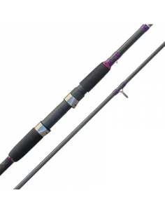 CAÑA CINNETIC EXPLORER... 2