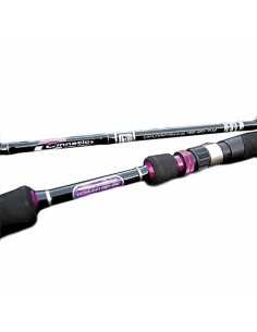 CAÑA CINNETIC EXPLORER... 2