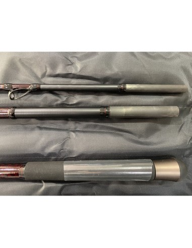 CAÑA DAIWA EMBLEM SURF TYPE R 2023 33...