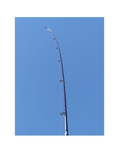 CAÑA DAIWA EMBLEM SURF TYPE R 2023 33...