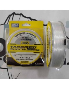 PUENTE DE LINEA ASSO...