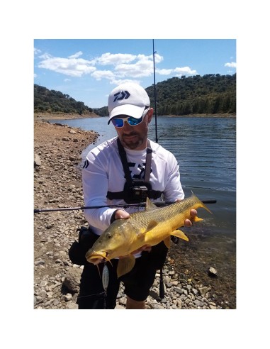 PALMS SLOW BLATT CAST OVAL 5,5 CM 15...