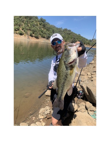 PALMS SLOW BLATT CAST OVAL 5,5 CM 15...