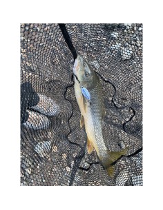 PALMS SLOW BLATT CAST OVAL... 2