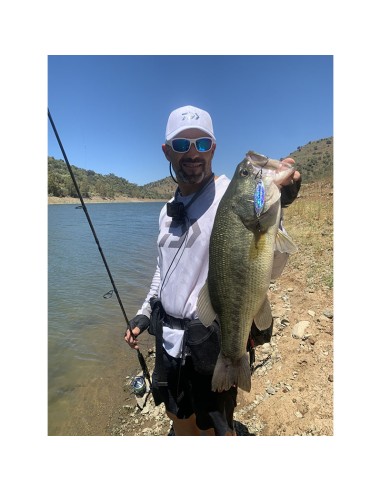 PALMS SLOW BLATT CAST OVAL 5.5 CM 15...