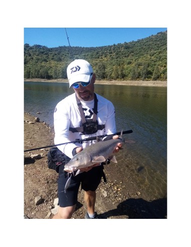 PALMS SLOW BLATT CAST OVAL 5.5 CM 15...