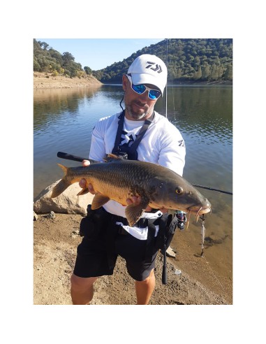 PALMS SLOW BLATT CAST OVAL 5.5 CM 15...