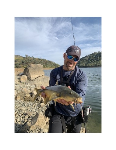 PALMS SLOW BLATT CAST OVAL 5.5 CM 15...