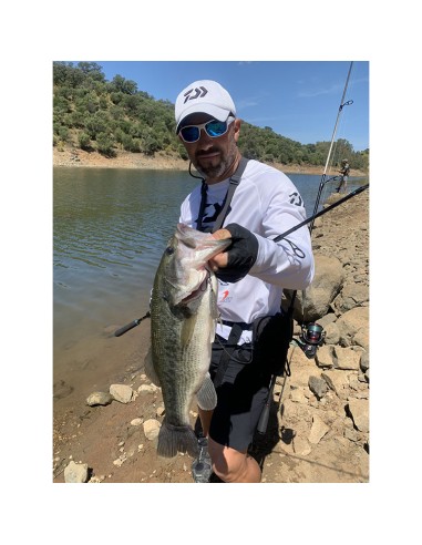 PALMS SLOW BLATT CAST OVAL 5.5 CM 15...