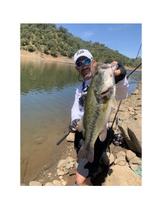 PALMS SLOW BLATT CAST OVAL... 2