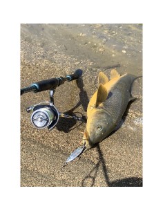 PALMS SLOW BLATT CAST OVAL... 2