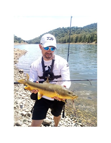 PALMS SLOW BLATT CAST OVAL 6 CM 20 GR...