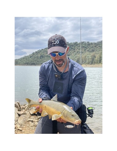 PALMS SLOW BLATT CAST OVAL 6.0 CM 20...