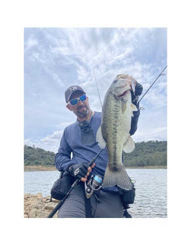 PALMS SLOW BLATT CAST OVAL 6.0 CM 20...