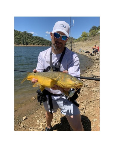 PALMS SLOW BLATT CAST OVAL 6.0 CM 20...