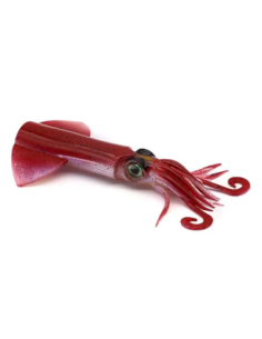 REPUESTO CUERPO XIPI EVO...