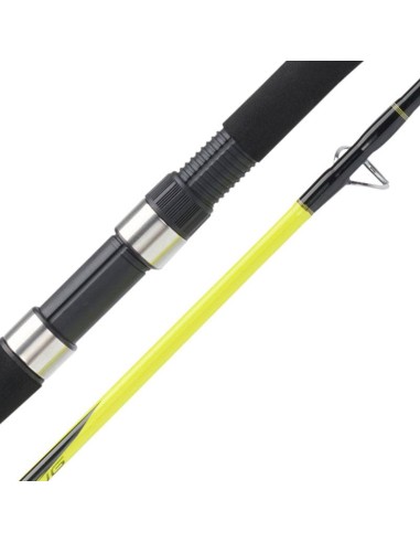 CAÑA KALI  KUNNAN DURGA 200/2 30-100...