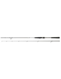 CAÑA DAIWA SALTIST SEABASS...