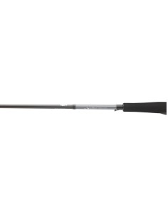 CAÑA DAIWA SALTIST SEABASS... 2