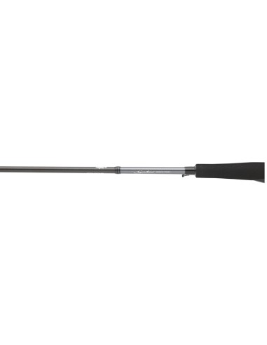 CAÑA DAIWA SALTIST SEABASS 832 10-35...