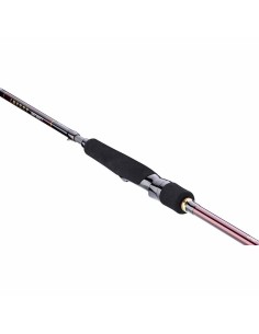 CAÑA DAIWA INFEET SB 902... 2