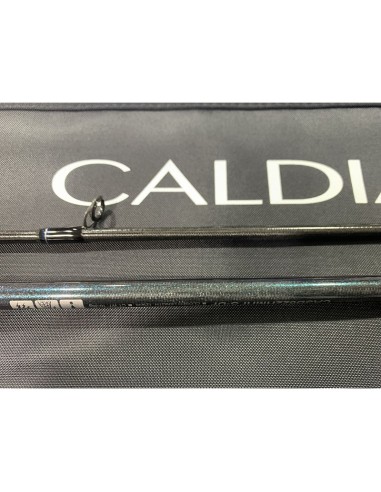 CAÑA DAIWA CALDIA SEABASS STANDARD II...