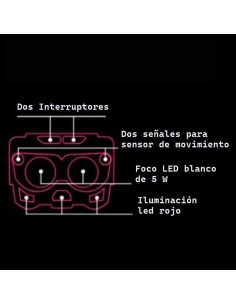 FRONTAL CINNETIC BUHO... 2