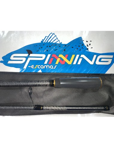CAÑA DAIWA RX 902 HMHFSBF 2,70M 10-35 GR