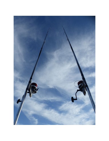 CAÑA SHIMANO AERO TECHNIUM...