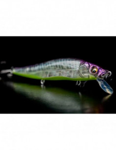 VISION 110 LBO USA GP SKELETON TENNESSE