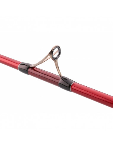 CAÑA DAIWA TOURNAMENT CASTER EVO...