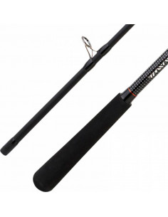 CAÑA DAIWA RX 802 HFS AF... 2