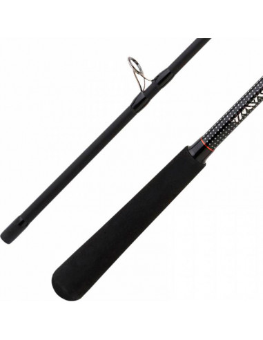 CAÑA DAIWA RX 802 HMH FSAF 2,40M...