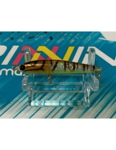 BASSDAY SPM 55 CHAIRO EBI...