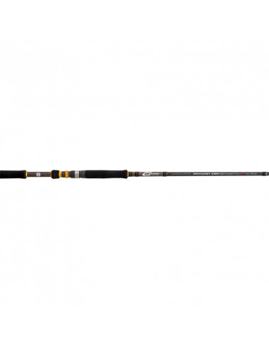 CAÑA CINNETIC RAYCAST XBR SEABASS 270...