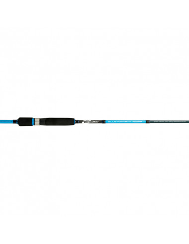 CAÑA CINNETIC BLUE WIN SLOW JIGGING...