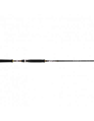 CAÑA CINNETIC RAYCAST XBR DART'N...