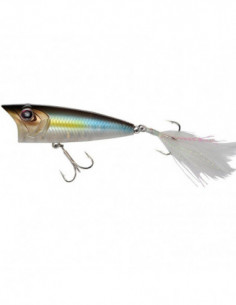 LOUDER 70 OSP P23 TASTY...