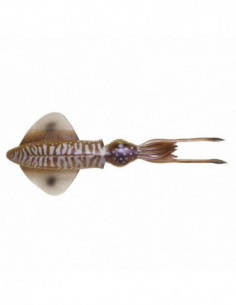 SAVAGE GEAR 3D SWIM SQUID...
